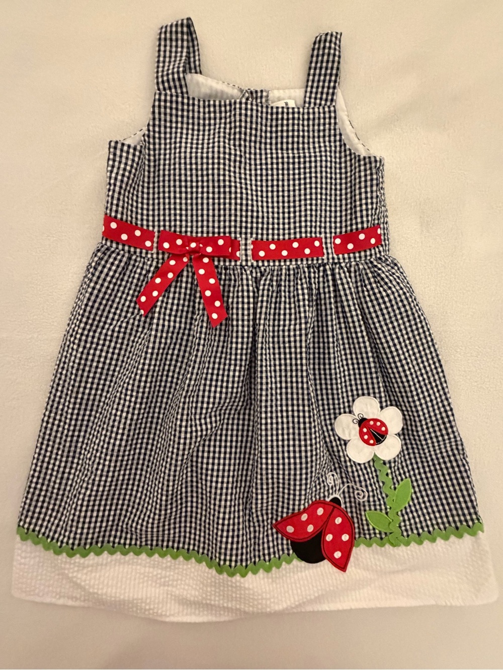 Checkered Ladybug Dress